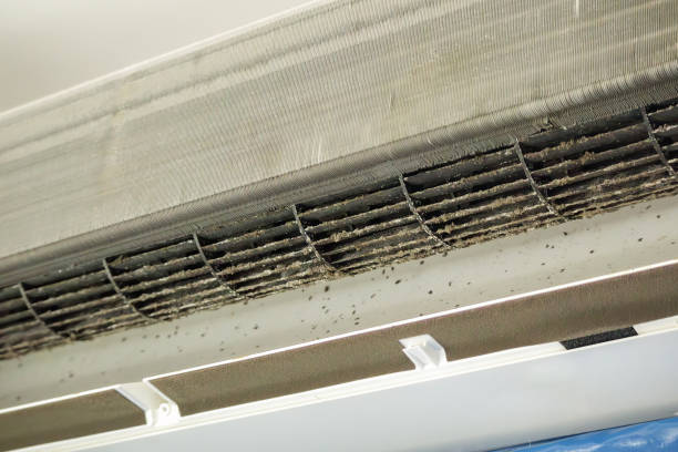 Affordable HVAC Duct Cleaning in Pamplico, SC